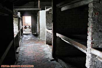 IMG_ (11525)